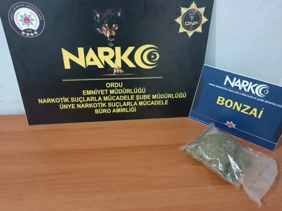 Ordu’da Narkotik Operasyonu