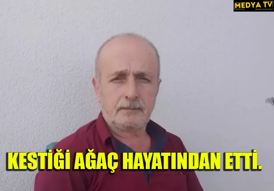 KESTİĞİ AĞAÇ HAYATINDAN ETTİ