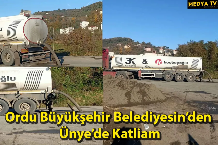 Ordu Büyükşehir Belediyesin’den  Ünye’de Katliam