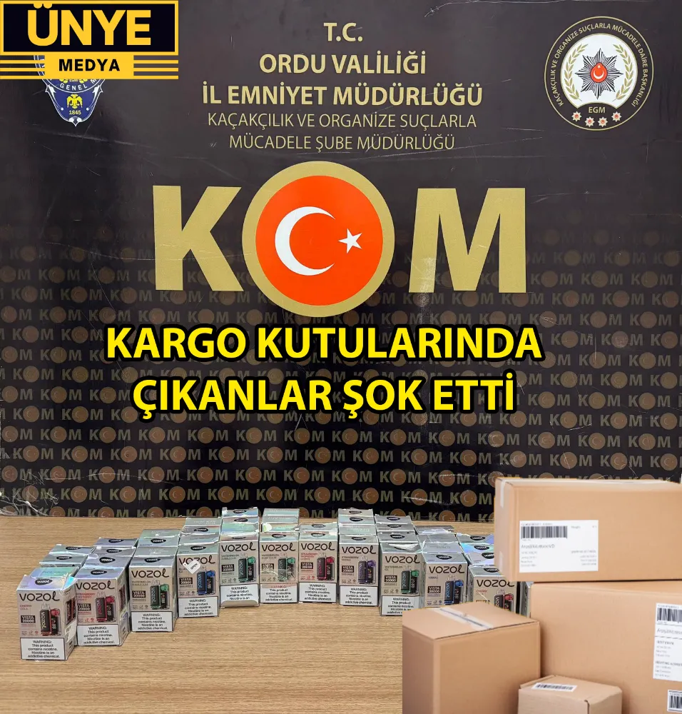 KARGO KUTULARINDAN ÇIKINLAR ŞOK ETTİ