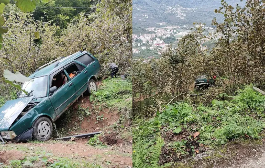 Araç fındık bahçesine uçtu