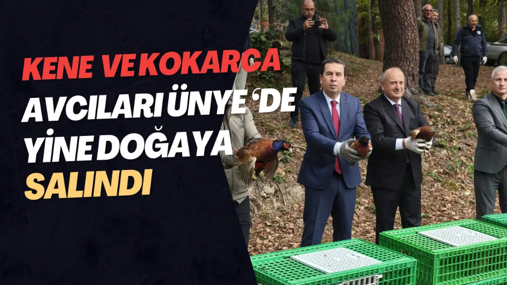 KENE VE KOKARCA AVCILARI ÜNYE ‘DE YİNE DOĞAYA SALINDI