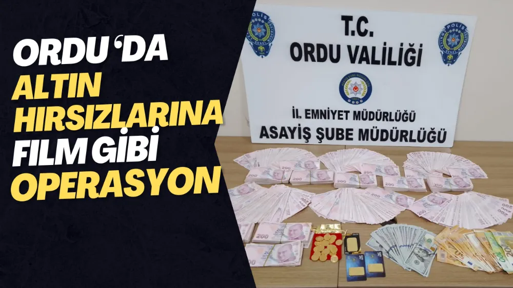 Ordu ‘da Altın Hırsızlarına film gibi operasyon