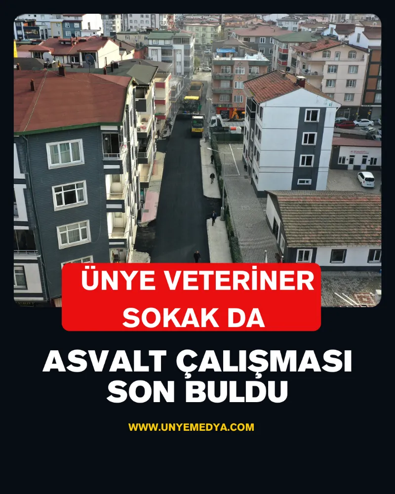 ÜNYE VETERİNER SOKAK DA ASVALT ÇALIŞMASI SON BULDU