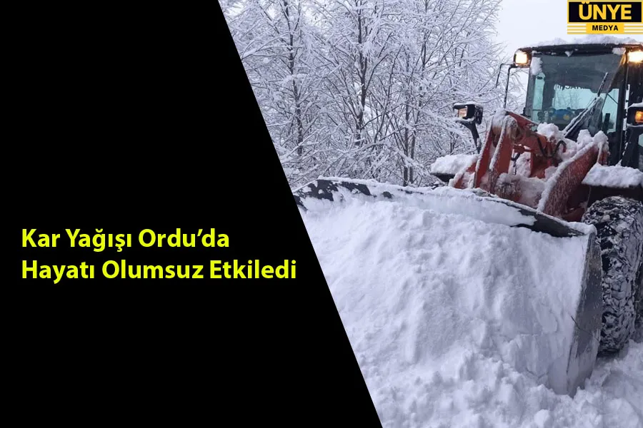 Kar Yağışı Ordu’da Hayatı Olumsuz Etkiledi