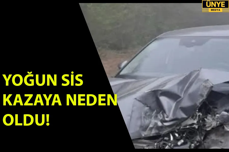   YOĞUN SİS KAZAYA NEDEN OLDU!