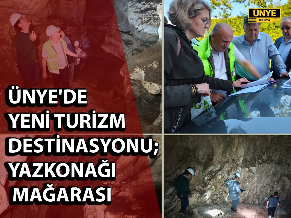 ÜNYE