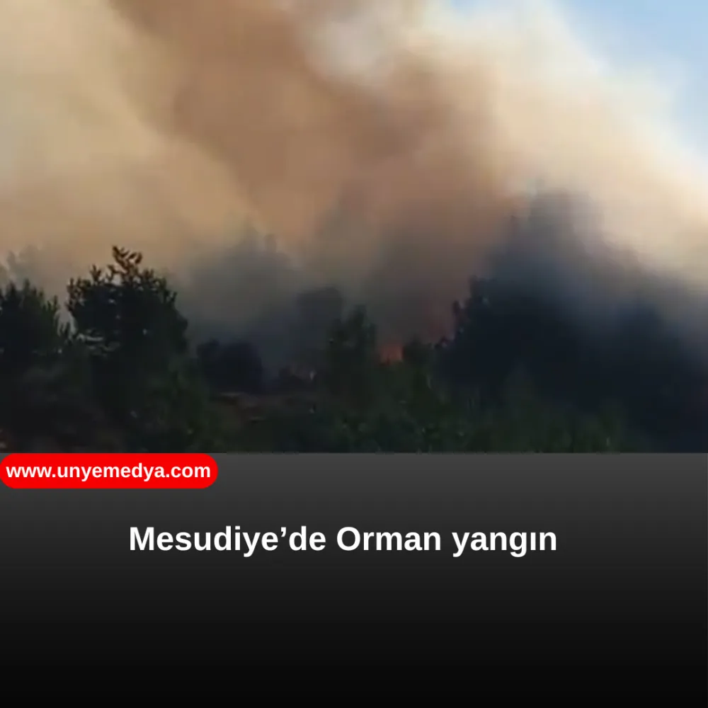 Mesudiye