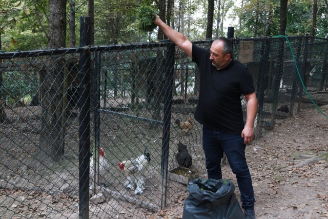 PARK-BAHÇE ÇİMLERİ HAYVANLARIN YEM İHTİYACINI KARŞILIYOR